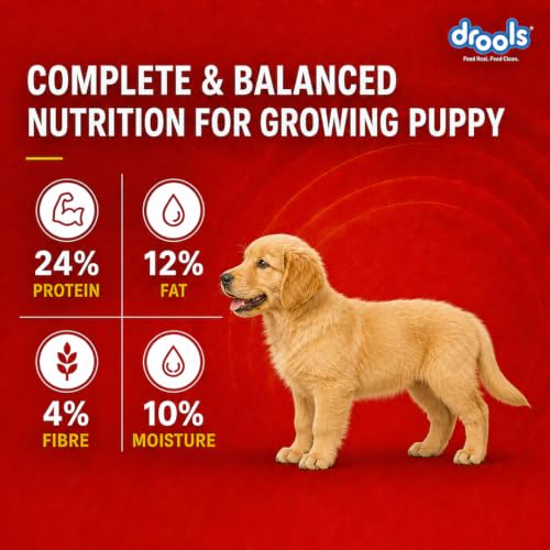 Image of Drools Puppy Dry Dog Food 1kg | Meat and Milk Flavour | Supports Healthy Brain Development and Cognitive Function | Antioxidants | Chelated Minerals | Better Bioavailability of Minerals