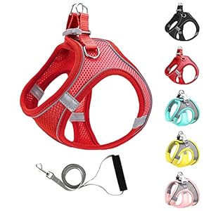 Mitili Dog Harness with Leash Set, No Pull Dogs Vest Harnesses Step-in Air Reflective Adjustable Breathable Mesh Cat Harness fit Small Medium Puppy Pet Cats (L(Chest:16-20″), Red)