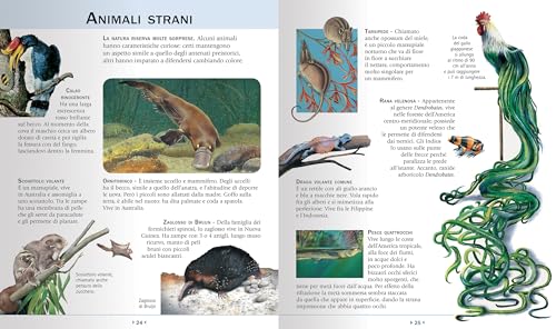 Enciclopedia Illustrata Per Ragazzi. Ediz. A Colori - 5