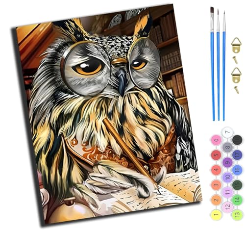 XIAOYOUQIAN Animal Owl Tutor,Pintura Por Números Para Adultos Y Niños，Con Pinceles,Pintura Acrílica Para Niñas,Kits De Pintura Acrílica Por Números Sobre Lienzo,40X50 Cm,Sin marco