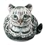 Grey Cat
