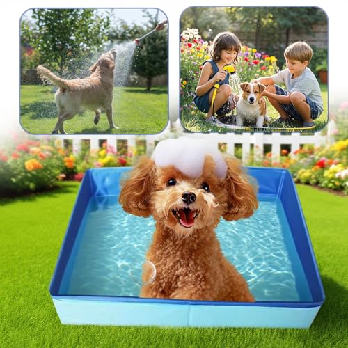 Hundepool Klein,Faltbares Hundebad,Faltbarer Planschbecken,Schwimmbecken Für Hunde, Planschbecken Für Haustiere, Faltbarer Hundepool Hundebad, Für Kleine Hunde Katze, 50x50x10 cm (Blau)