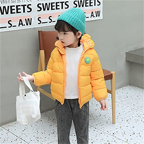 Jaqueta adolescente, meninos, meninas, inverno, quente, sólida, dinossauro, casacos, orelhas de urso