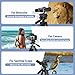 Binocular Tripod, 72” Spotting Scope Tripod Stand with Binocular Adapter and 2 QR Plates, Travel Camera Stand with Phone Holder/Carry Bag, Compatible with Binoculars/Spotting Scope/Camera/Phone