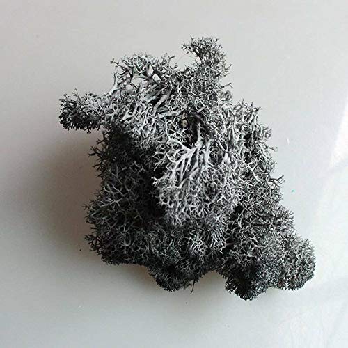 EliteKoopers Natural Reindeer Moss For Preserved Dried Craft Flower Home Decor Item