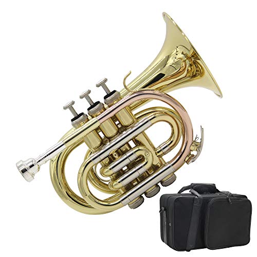 Singer's day SDPT-2019 Bb Pocket Trumpet