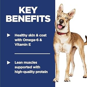 Hills Science Diet Adult 1 6 Adult 1 6 Premium Nutrition Dry Dog Food Salmon Brown Rice 45 lb Bag