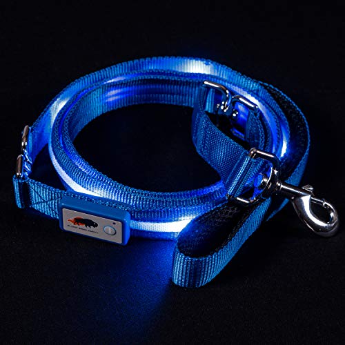 BLAZIN Light Up Dog Leash LED - 1,000 Feet of Visibility - USB Rechargeable Waterproof Glow in The Dark Dog Leash - 6 Foot, Blue