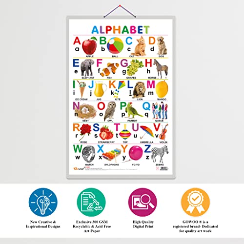Alphabet Early Learning Educational Chart for Kids | 20"X30" inch |Non-Tearable and Waterproof | Double Sided Laminated | Perfect for Homeschooling, Kindergarten and Nursery Students
