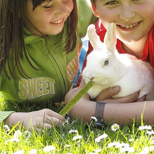 200g Timothy Hay Sticks for Rabbits Guinea Pig Hamsters Chinchilla Bunny Chew Toys for Teeth Treats Accessories