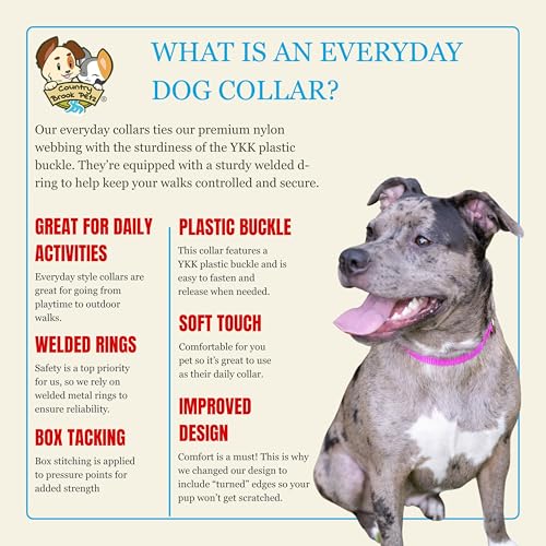 Country Brook Petz 25+ Hundehalsband aus Nylon, mit Schnellverschluss-Schnalle, starke Beschläge, hergestellt in den USA (Medium, 1,9 cm breit, goldfarben)-5