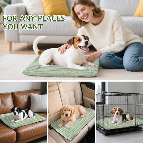 BVAGSS Flauschiges Orthopädisches Hundebett, Waschbar Hundematte, rutschfeste Unterseite, Plüsch Hundekissen Weiche und Warme Hundematte für klein mittel große Hunde XH082 (60x45cm,Grün)