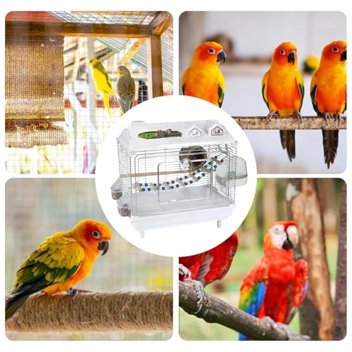 Vogelkäfig, transparent, tragbar, Nymphensittichkäfig mit Holzstange, für Aras, Finken, Lovebird im Innenbereich-4