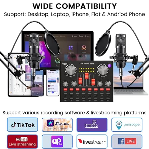 Interface audio avec micro cardioïde BM800 pour joueur