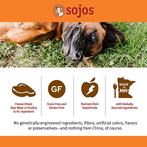 Sojos Full Beef Recipe Grownup Grain-Free Freeze-Dried Uncooked Canine Meals, 7 Pound Bag Sojos Full Beef Recipe Grownup Grain-Free Freeze-Dried Uncooked Canine Meals, 7 Pound Bag