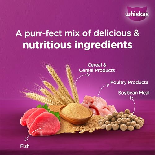 Whiskas Adult (1+ Years) Dry Cat Food, Ocean Fish Flavour, 3 kg, Contains 41 Essential Nutrients, Complete & Balanced Nutrition for Adult Cats (Image - 6)