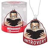 Mcphee Archie Introvert H12553 Hanging Ornament