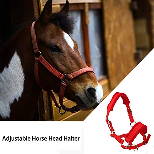 SagaSave Paardenhalster, verstelbare riem, halster, hoofdhalsband met verdikt fleece, gevoerd met meerdere maten - Afbeelding 5
