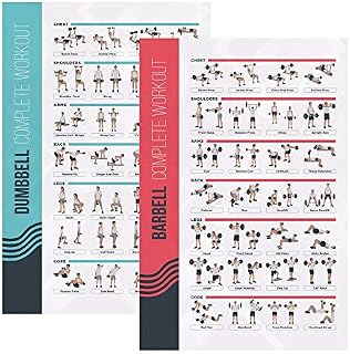 FitMate Dumbbell and Barbell Workout Exercise Poster, 2-Pack, Workout Routine with Free Weights, Home Gym Decor, Room Guide (51 x 76 cm)