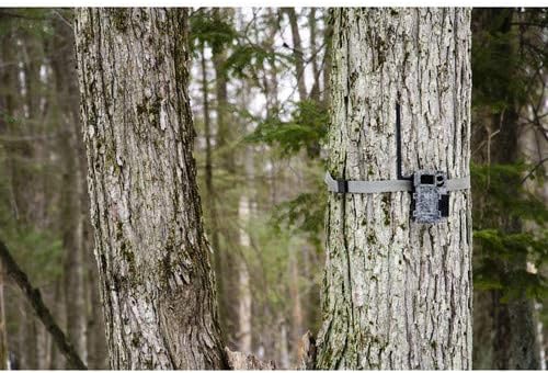 Spypoint Link Micro 4G Cellular Trail Camera with Mount (Verizon)
