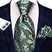Hi-Tie Mens 63inch Extra Long Tie Paisley Green Floral XL Necktie Set for Big Tall Men Handkerchief Cufflinks Wedding