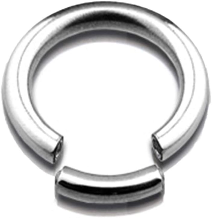 Dynamique Seamless Segment Ring 316L Surgical Steel (Sold per Piece)