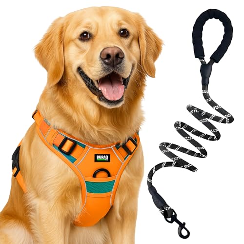 Image of Buraq Reflective Dog Harness with Leash, No-Pull Adjustable Belt Vest for Small, Medium & Large Dogs, Escape-Proof, Padded Training & Walking Harness (L - Orange)
