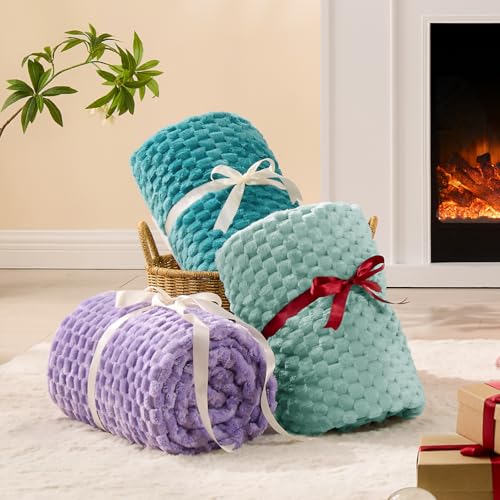 Image of BEDELITE Haze Blue Throw Blanket for Couch, Soft Cozy Gift for Women, 50*60 | 3D Jacquard Decorative Fleece Blanket, Super Soft Plush Throws, Cute Birthday Gift for Women & Men, Suitable for All Seasons
