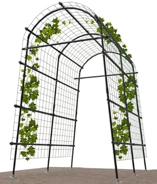 Vegetable Garden Arch Trellis - Transform Your Garden with These 5 Picks 2 vegetable garden arch trellis