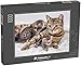 Produktbild Puzzle 1000 Teile Mama (Mutter) Katze und Baby Katze (Kätzchen) - Klassische Puzzle mit edler Motiv-Schachtel, Fotopuzzle-Kollektion 'Tiere'