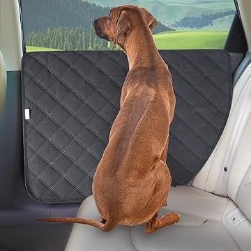 car door dog cover