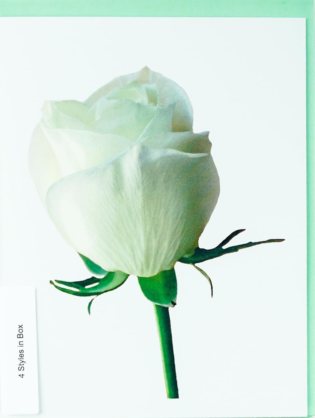 Blooming Roses Assorted High-End Photographic Heavy Smooth Note Cards 16 w/18 Colored Envelopes, Boxed Set (4.25"x 5.50") Blank Inside - Made in USA