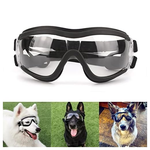 Namsan Lunettes de soleil transparentes étanches et coupe-vent pour chien de grande et moyenne taille