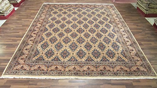 Precision Comfort Assistant's Package, 2 HVE, SE, SYR