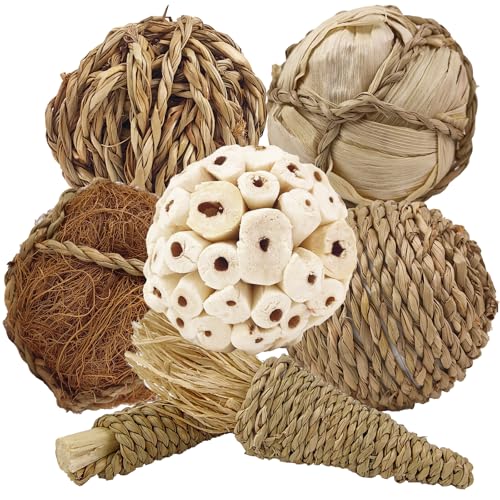 WQY GroceryShop 7Pcs Bird Chewing & Foraging Balls