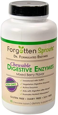 Non-GMO Chewable Digestive Enzymes w/Xylitol - 90 Tablets- Berry Flavored - 5% of Sales Donated to Charity - by Forgotten Sprouts