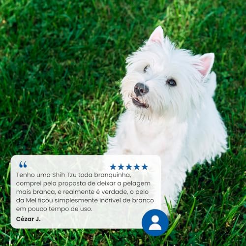 Farmina N&D White para Cães Adultos de Raças Mini e Pequenas Sabor Merluza, Spirulina e Erva Doce 2K