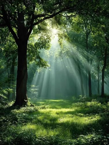 Diamond painting forêt grand format 80x110cm bby2605J6 pour adultes