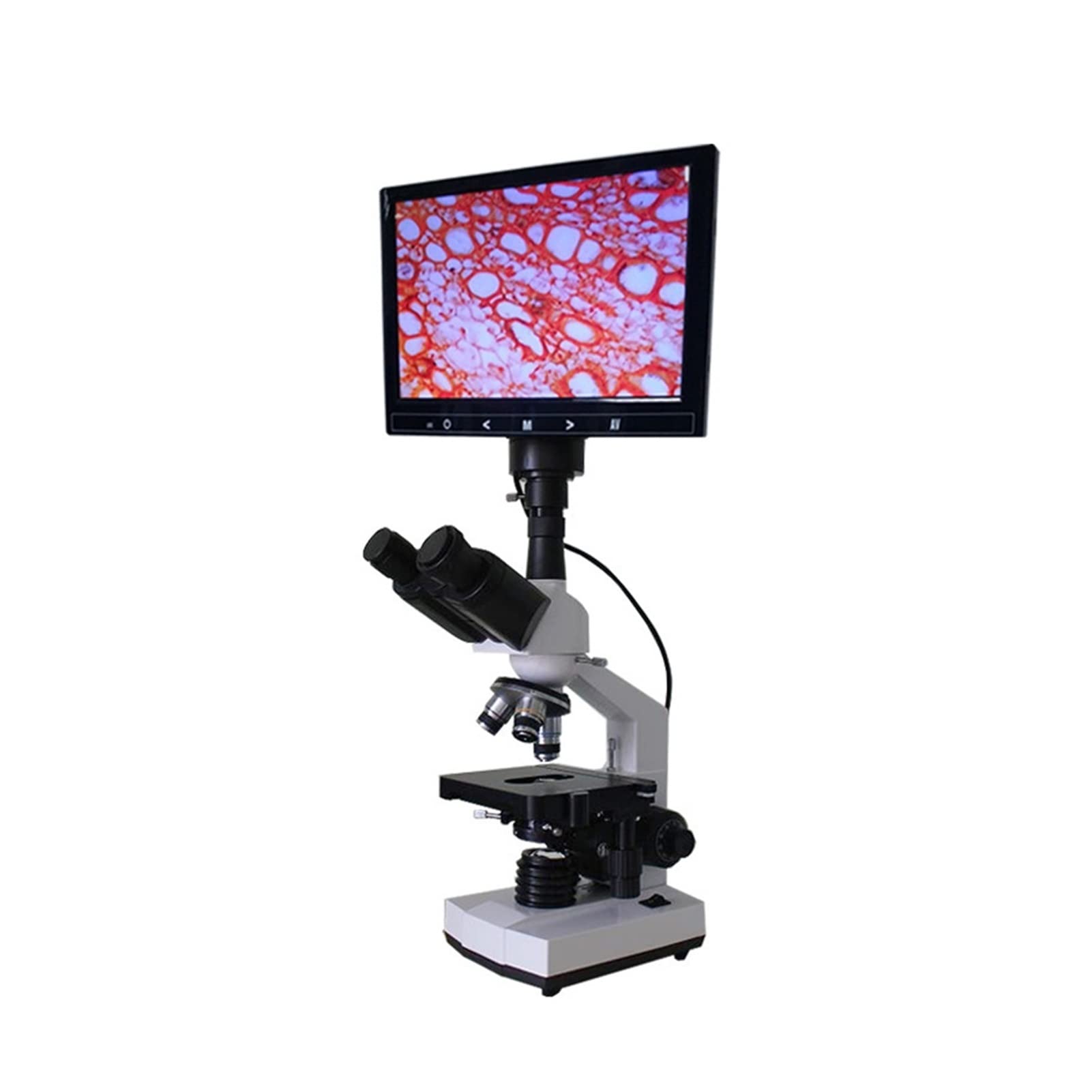 LNHHG 400X 7 Inch HD Monocular Biological Microscope Digital Mite Laboratory