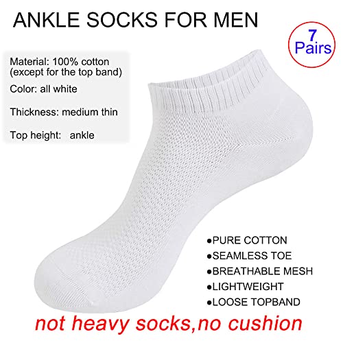 Ait fish 100% Cotton Socks for Men and Women - Thin Low Cut Ankle Socks2