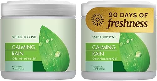 Smells Begone - Gel absorbente de olores ambientador. Fabricado con aceites esenciales naturales, paquete de 2 unidades (15 onzas)