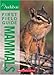 National Audubon Society First Field Guide Mammals (National Audubon Society First Field Guide)