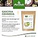 Garcinia Cambogia 90 cápsulas vegetales (extracto 4:1, 60% HCA) con calcio, bloqueador...