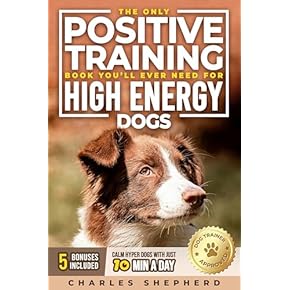Good Dog Training Books: Top Picks for Effective Training