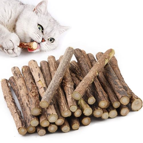 Aidiyapet Katzenminze Sticks & Toys, Matatabi Silvervine Kaustäbchen, Katze Zahnkauen für die Zahnreinigung, Indoor Cat Toys