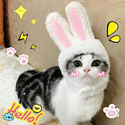 BWOGUE Cute Costume Bunny Rabbit Hat with Ears for Cats & Small Dogs Party Costume Halloween Accessory Headwear