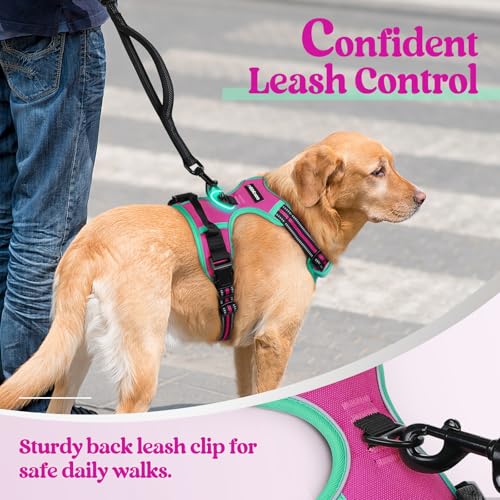 Image of rabbitgoo Dog Harness No Pull with 2 Leash Clips, Adjustable Soft Padded, Reflective Oxford No Choke Pet Vest with Easy Control Handle for Large Dogs, Hot Pink & Turquoise, XL