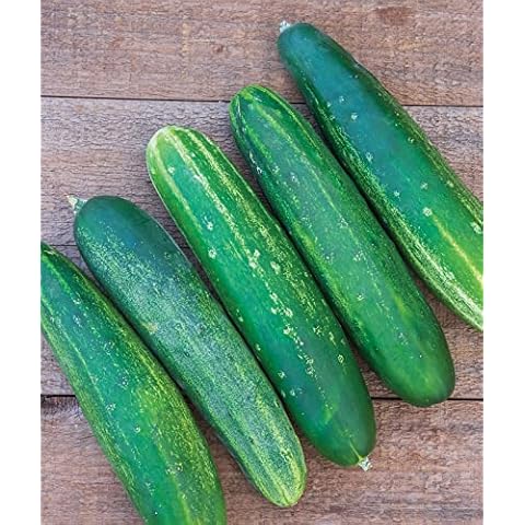 Burpee Straight Eight Slicing Cucumber Seeds Cover