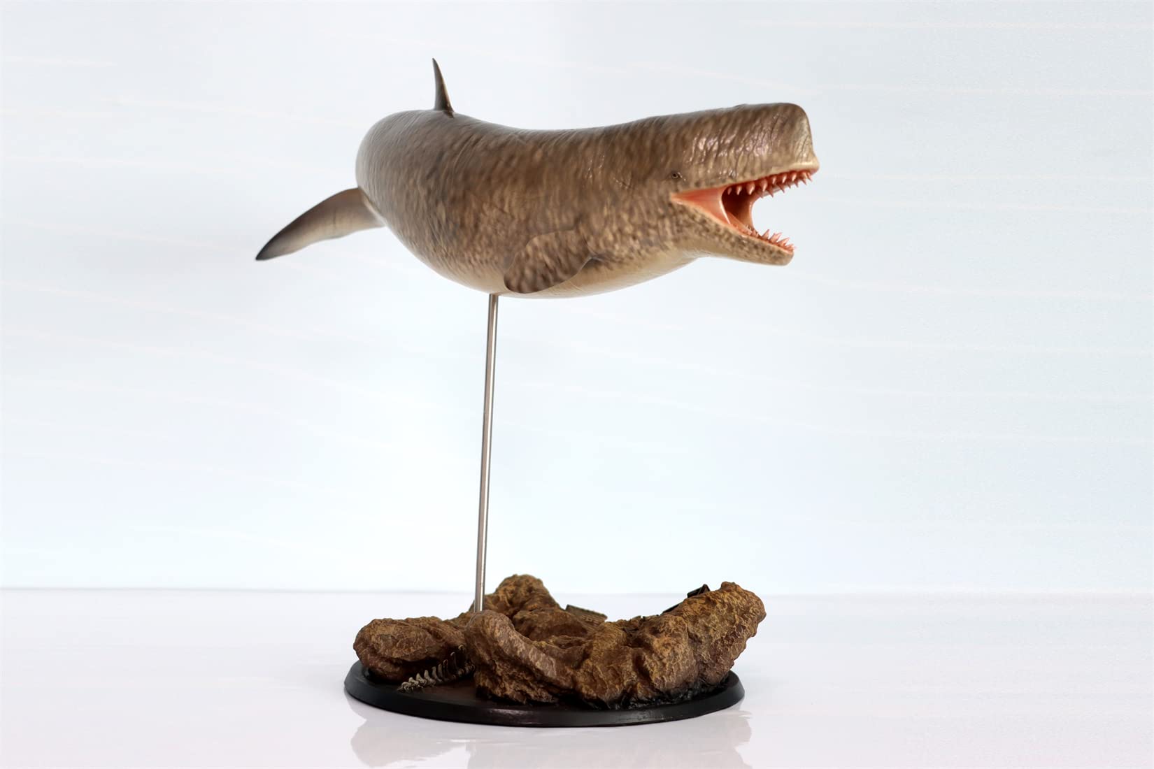 クジラ(置物) Amazon | BACALYSO | Rheic Studio 1/35 サイズ リヴィアタン