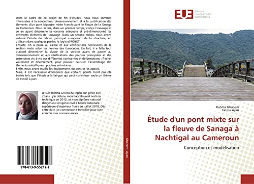 Conception de pont mixte sur la Sanaga : résudre les défis de modélisation - 2